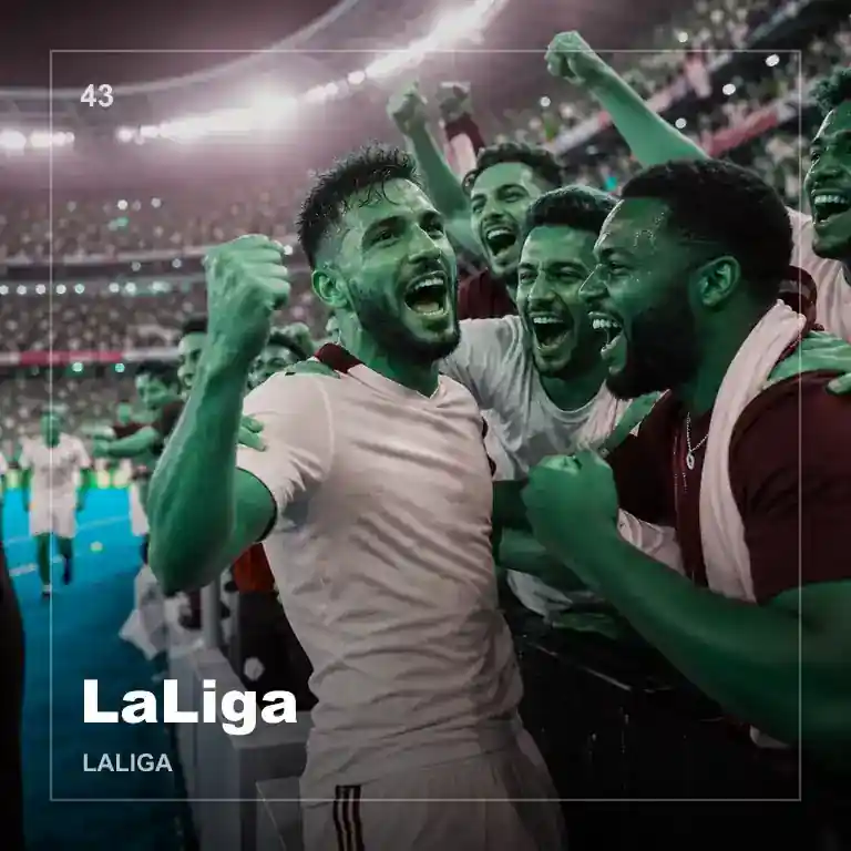 LaLiga 合作伙伴